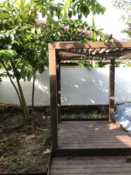Ponggol Seventeenth Avenue (D19), Detached #369244381